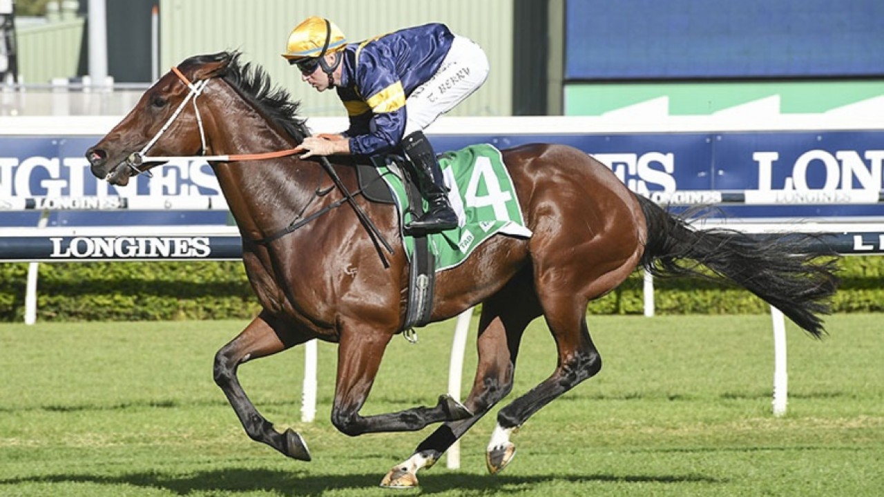 Preview: Gr.2 Premiere Stakes Image 1